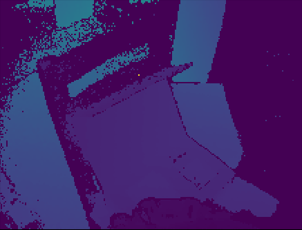 Raw Depth Image